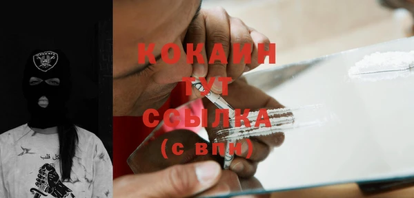 соль курить ск Рославль