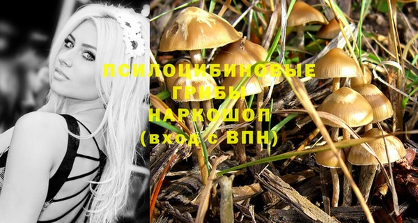 гидропоника Балабаново